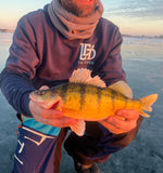 LED Bucket 'O' Fish Iceberg Crew
